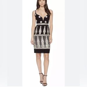 Nicole Miller Enchanted Dress